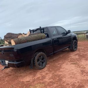 Meet your Posher, Terry